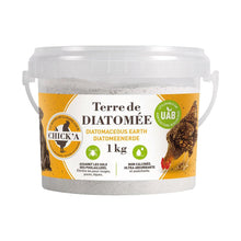 Diatomeenerde Kieselgur (1 kg)