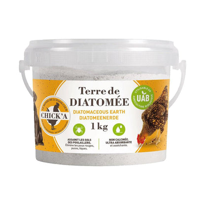 Diatomeenerde Kieselgur (1 kg)