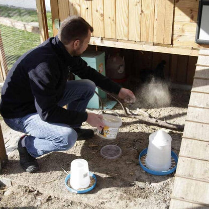 Diatomeenerde Kieselgur (3 kg)