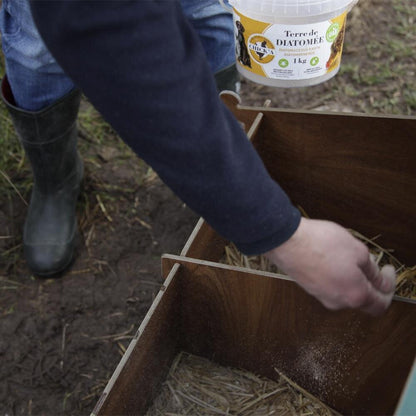 Diatomeenerde Kieselgur (1 kg)