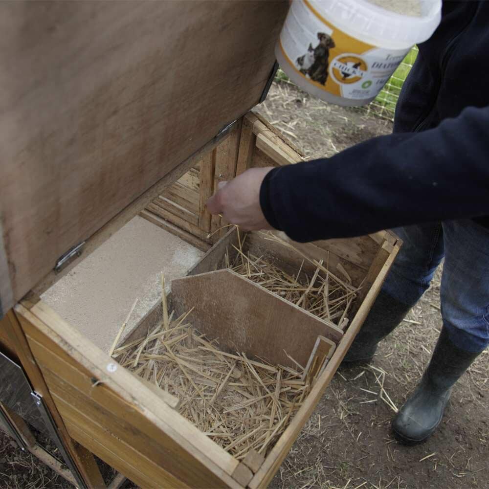 Diatomeenerde Kieselgur (3 kg)