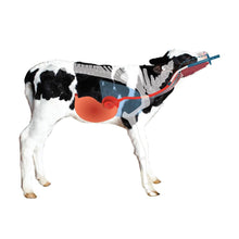 Antahi Trusti Tuber (4 L)