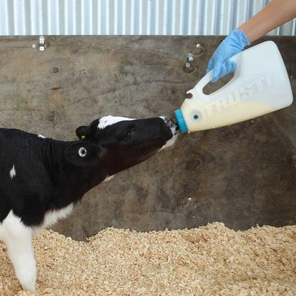 Antahi Trusti Tuber (4 L)