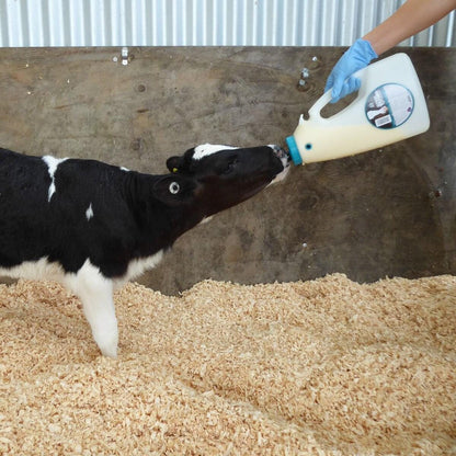 ANTAHI Flexi Tuber (4 L) | mit Kopfgurt