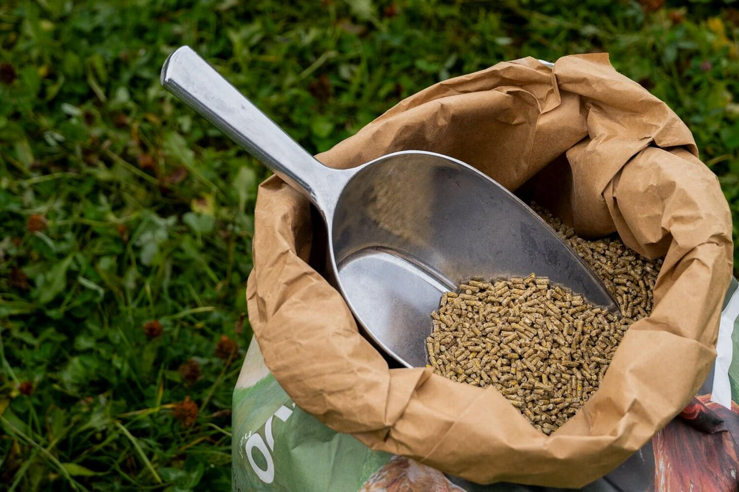 KAMER Aluminium-Futterschaufel | flach (2 kg)