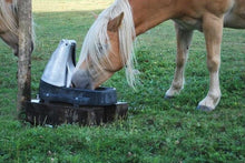 POLYPUMP Weidetränke