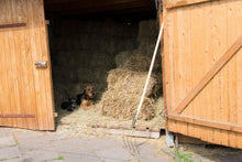 Dunggabel | 4 Zinken (31 cm) | gold