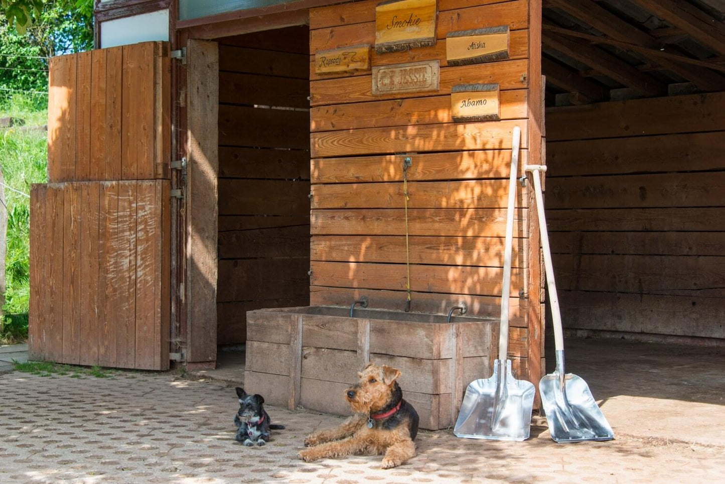 Aluminiumschaufel ohne Stiel (38 x 38 cm) | Größe 9