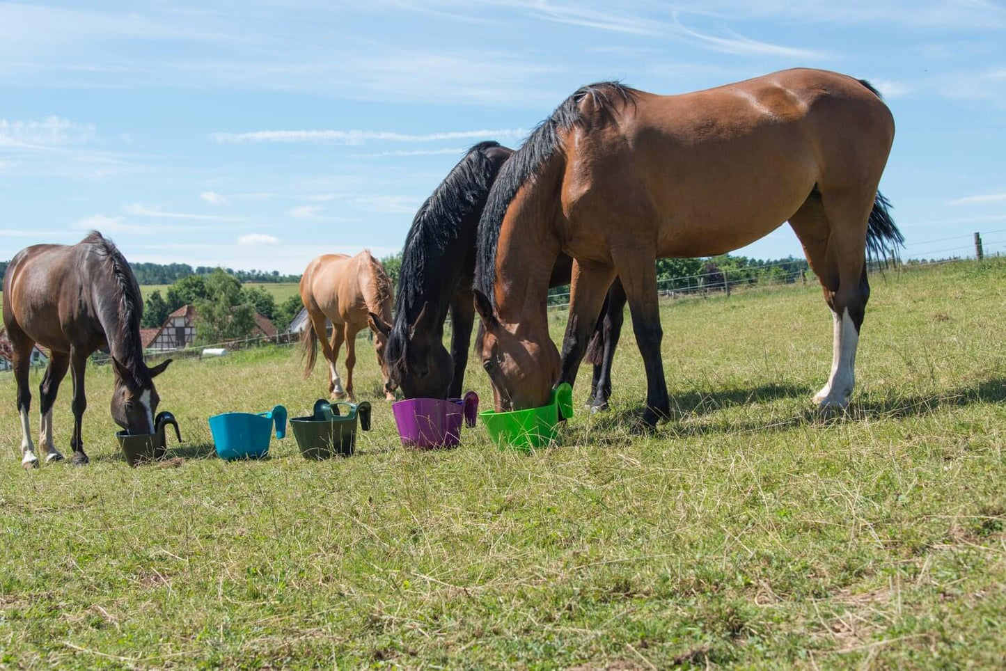 Tragbare Turnier-Futterkrippe | 13,5 L