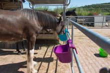 Tragbare Turnier-Futterkrippe | 13,5 L