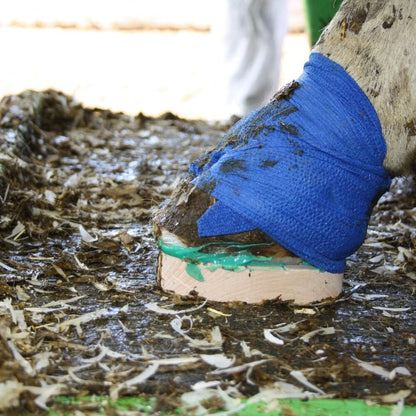 Block Bond® Klauenklebstoff | Kartusche im Beutel | (200 ml)