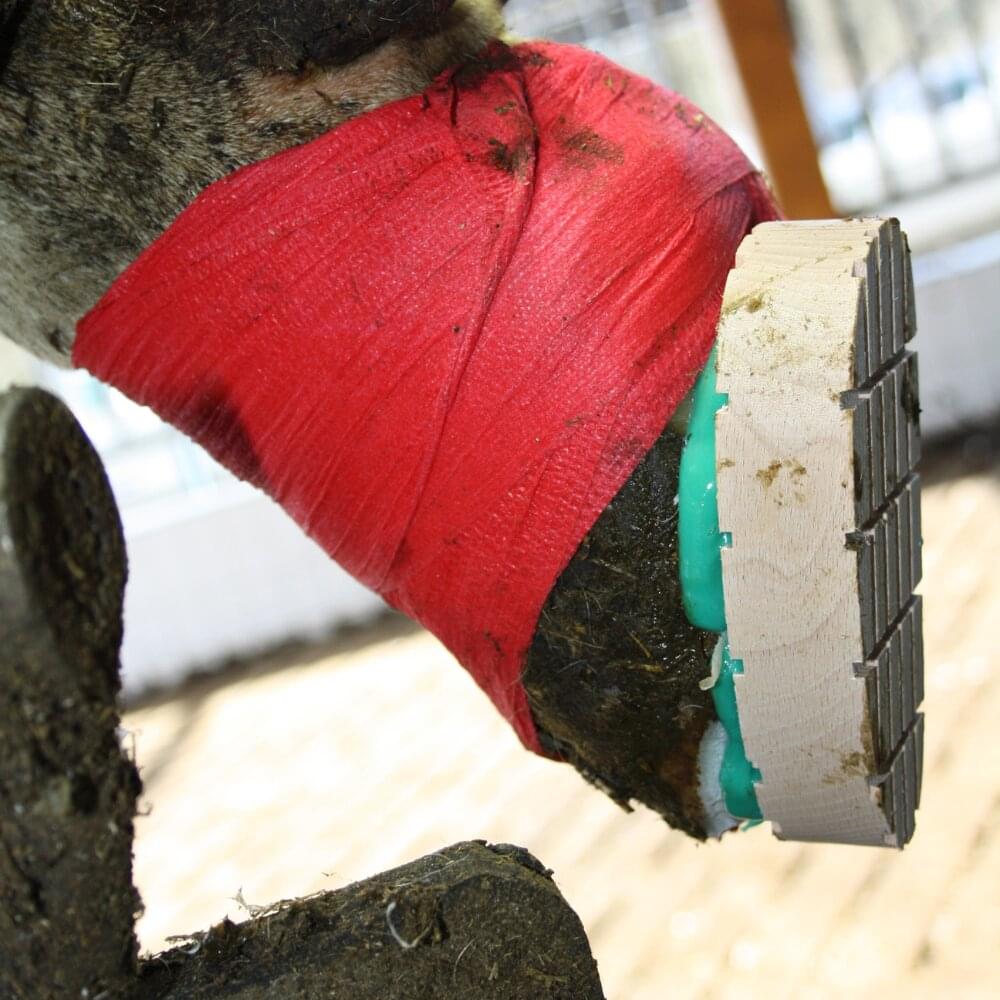 Block Bond® Klauenklebstoff | Kartusche | (200 ml)