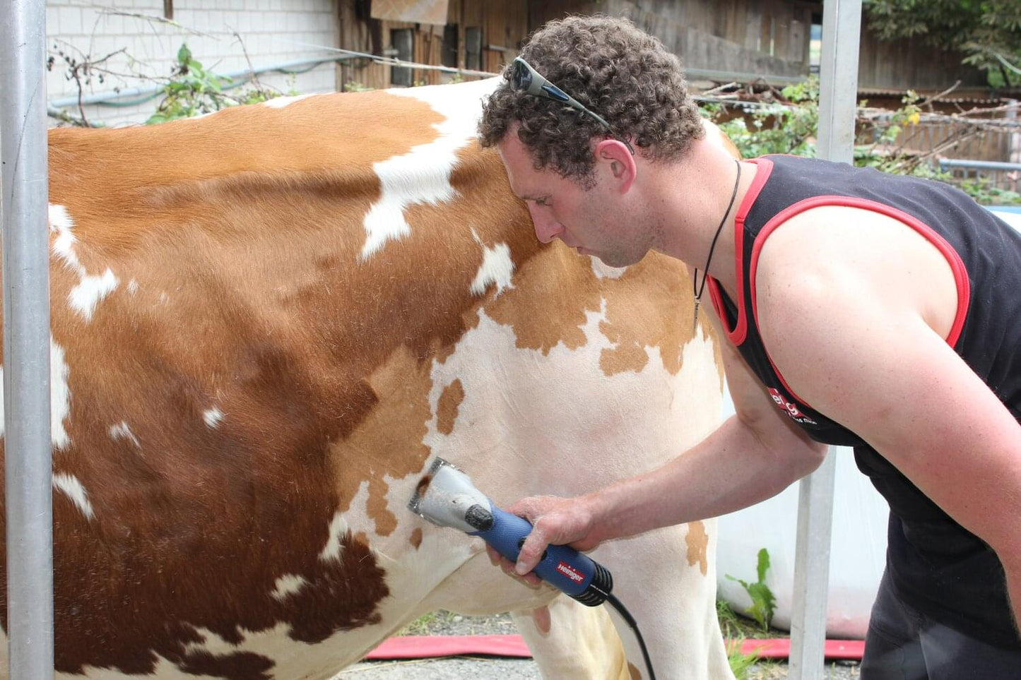 Heiniger XPERIENCE 2- Speed Vieh- und Pferdeschermaschine