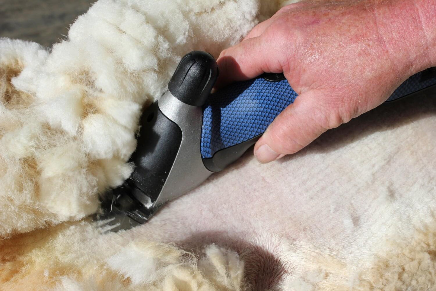 Heiniger Schafschermaschine XPERT 2 Speed