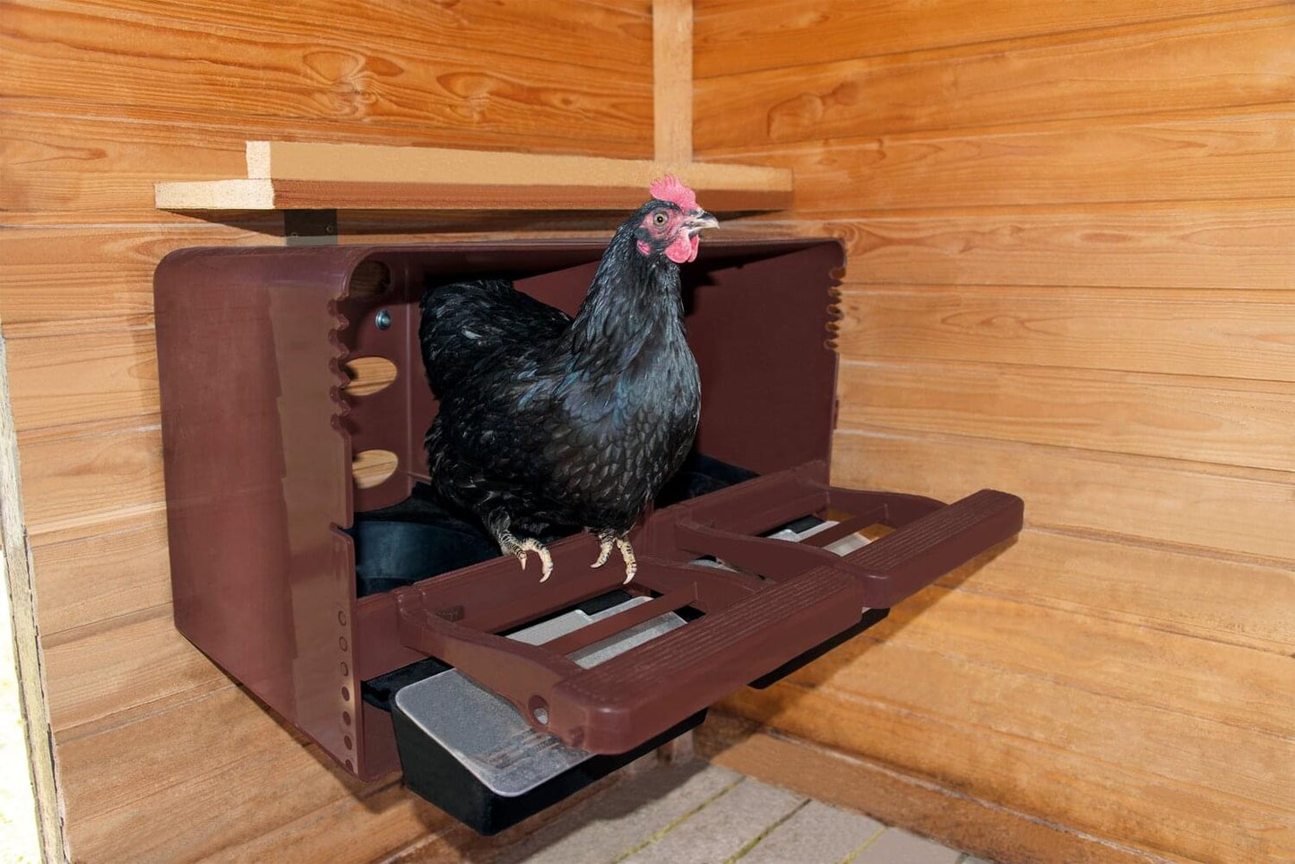 Kunststoff Legenest CHICKBOX | braun