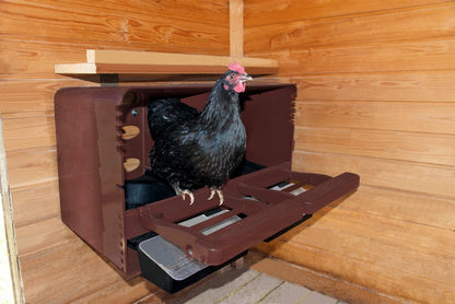 Kunststoff Legenest CHICKBOX | braun