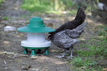 Kunststoff Regendach für Futterautomat ASCOT | grün (2,5 kg)