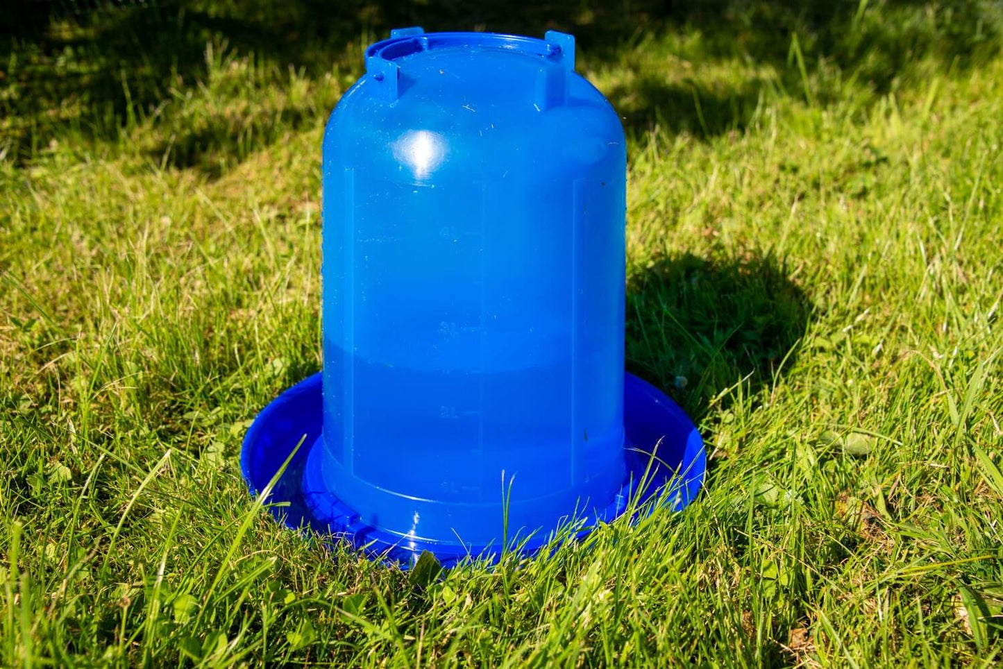 Kunststofftränke für Hühner (5 L) | blau