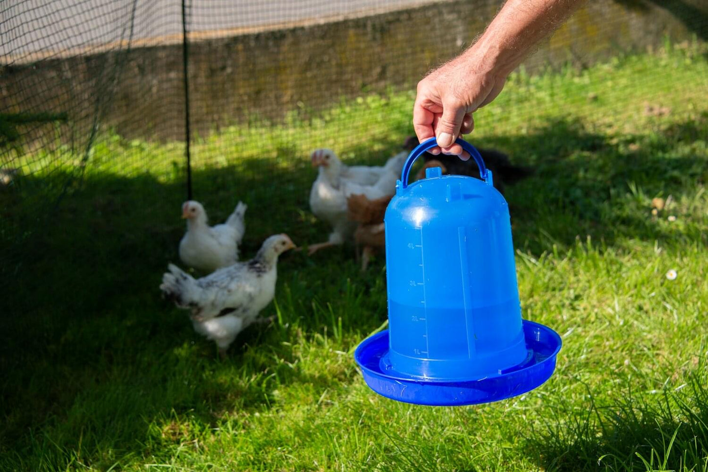 Kunststofftränke für Hühner (5 L) | blau