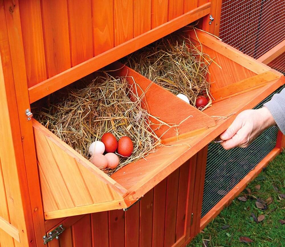 Hühnerstall Norway | inklusive umfangreicher Ausstattung