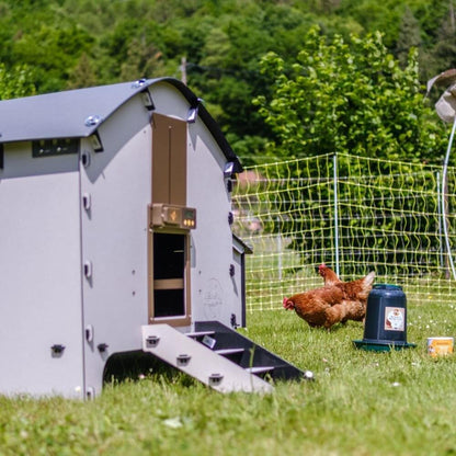 Chick'A® Hühnerstall Harmony | recycelter Kunststoff | geeignet für bis zu 6 Hühner