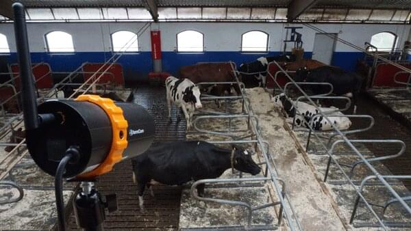 LUDA FARMCAM 360S | Motorisierte W-FI Überwachungskamera