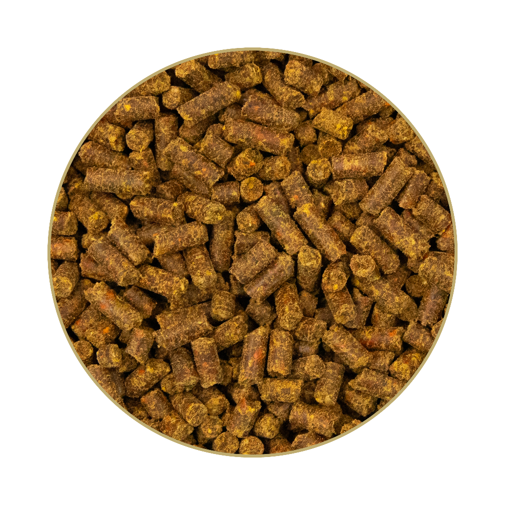 St. Hippolyt Beta-Carotin-Y-Mix
