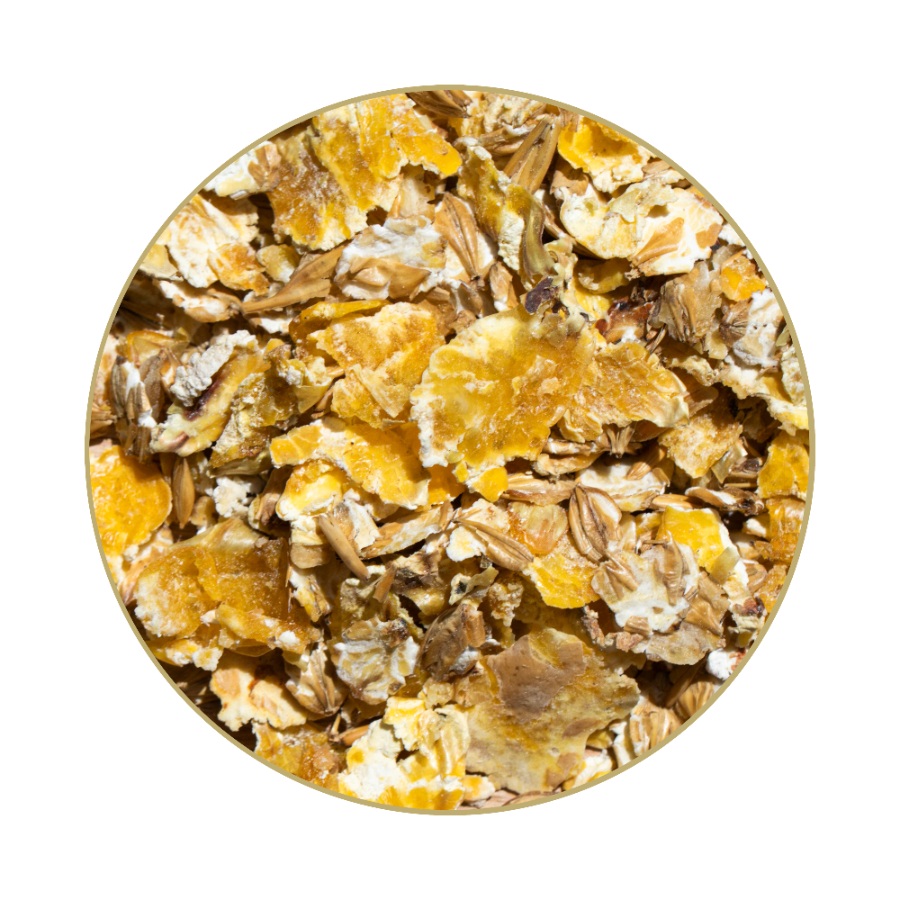 St. Hippolyt C-Real Basics Balance 15 kg