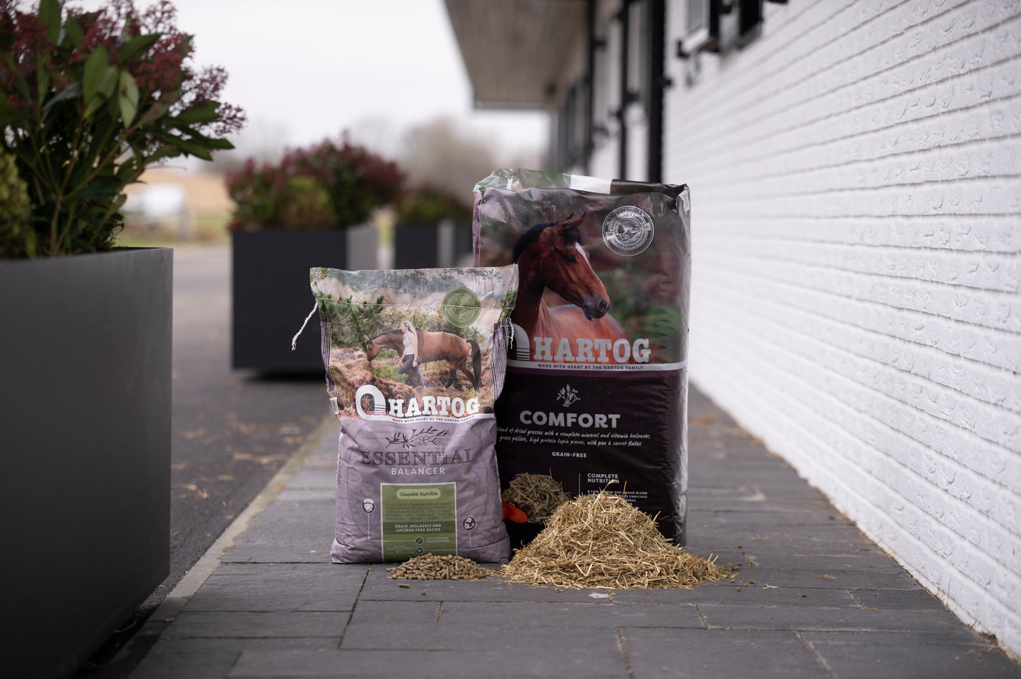 Hartog Essential 12 kg