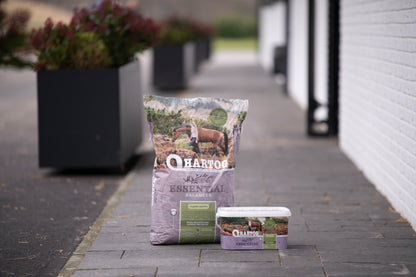 Hartog Essential 12 kg