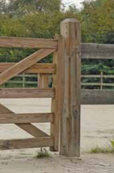 Zaunsystem Kent mit 3 Querriegeln