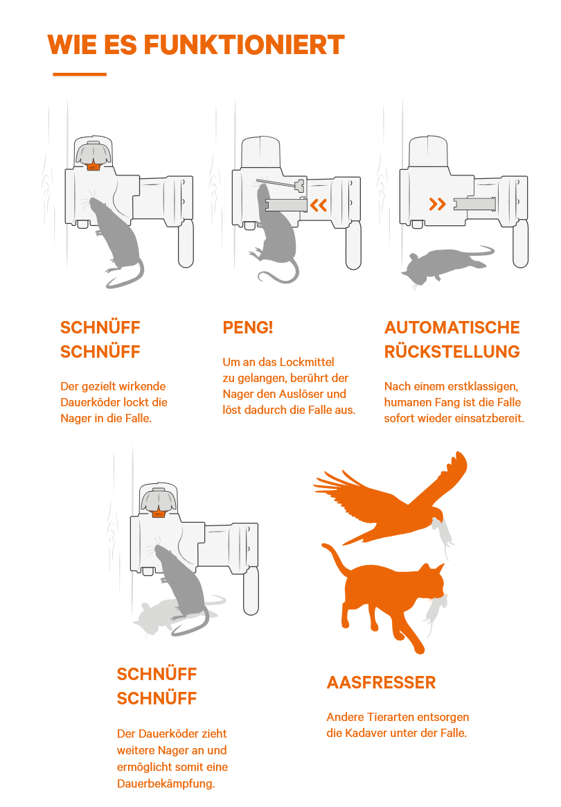 Ratten- und Mausefalle A24 giftfrei, STARTERSET von Goodnature