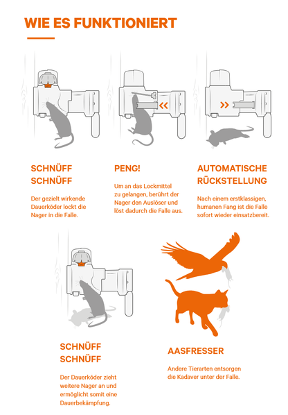 Ratten- und Mausefalle A24 giftfrei, STARTERSET von Goodnature