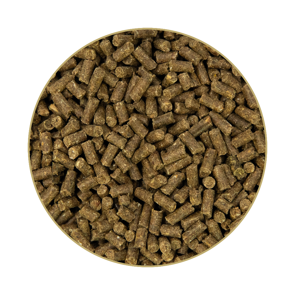 St. Hippolyt Fohlengold BoneCare 1 kg