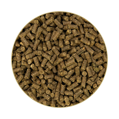 St. Hippolyt Fohlengold BoneCare 1 kg