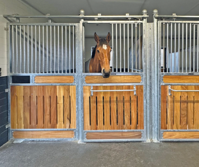 Frontwand Dolana Exklusiv