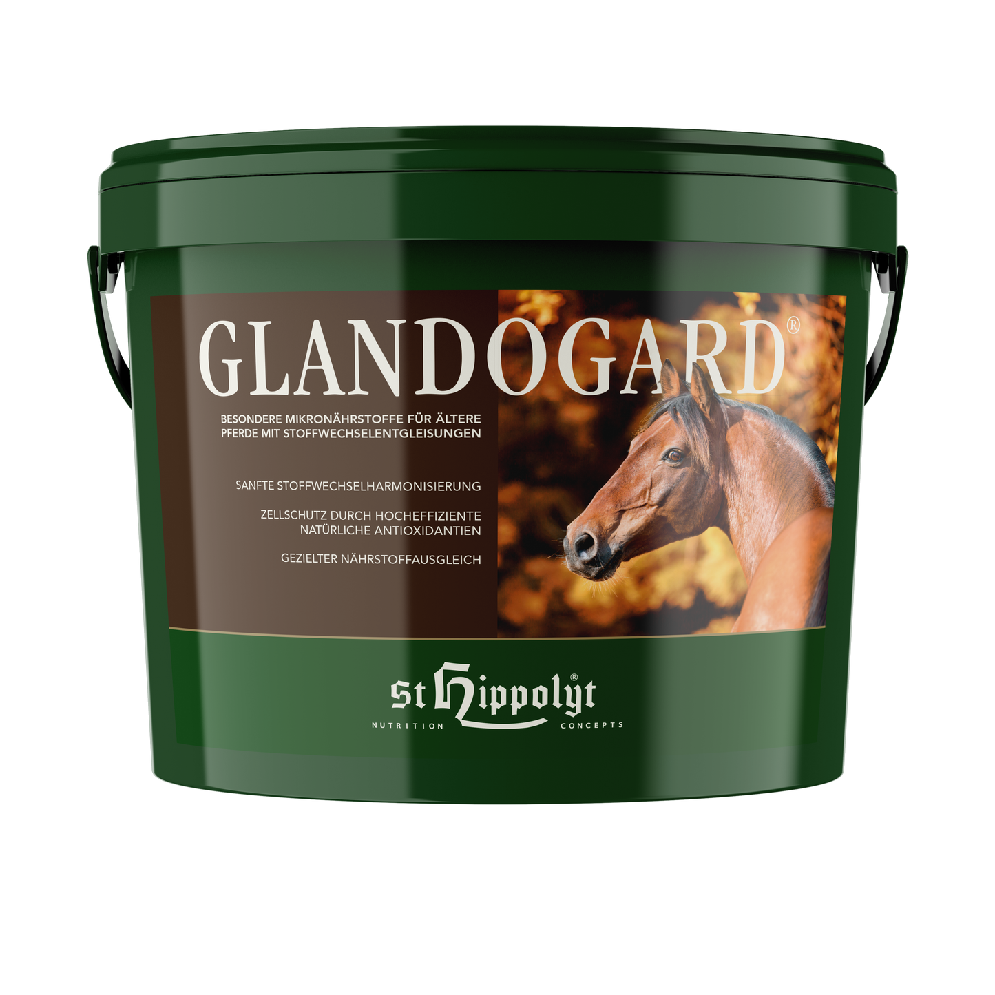 St. Hippolyt Glandogard