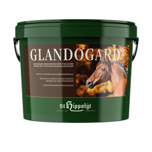 St. Hippolyt Glandogard