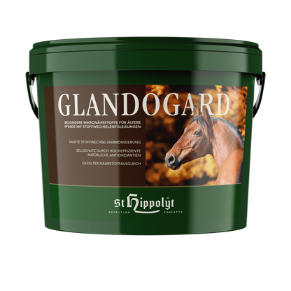 St. Hippolyt Glandogard