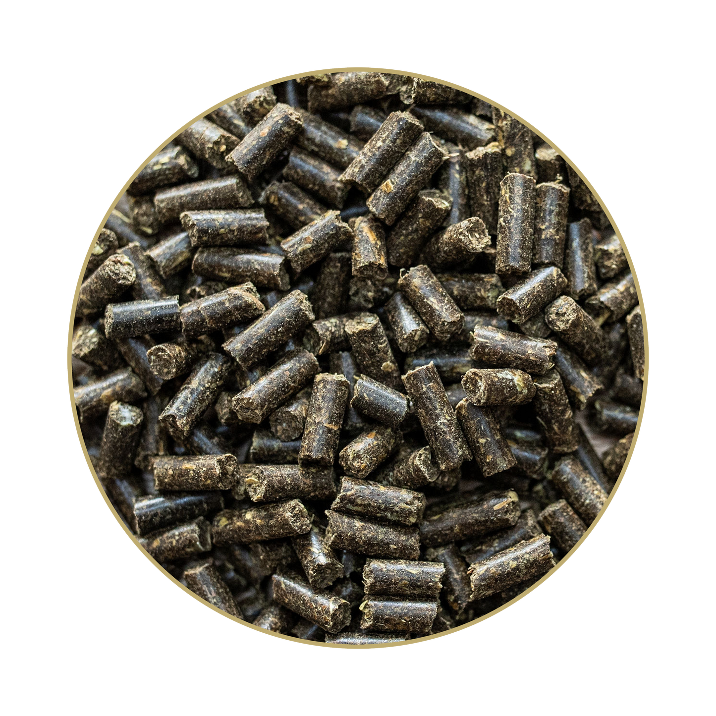 St. Hippolyt Glandogard
