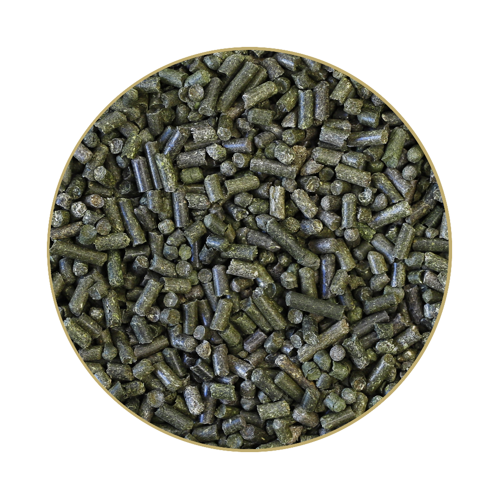 St. Hippolyt GlyxWiese Esparsettecobs 20 kg