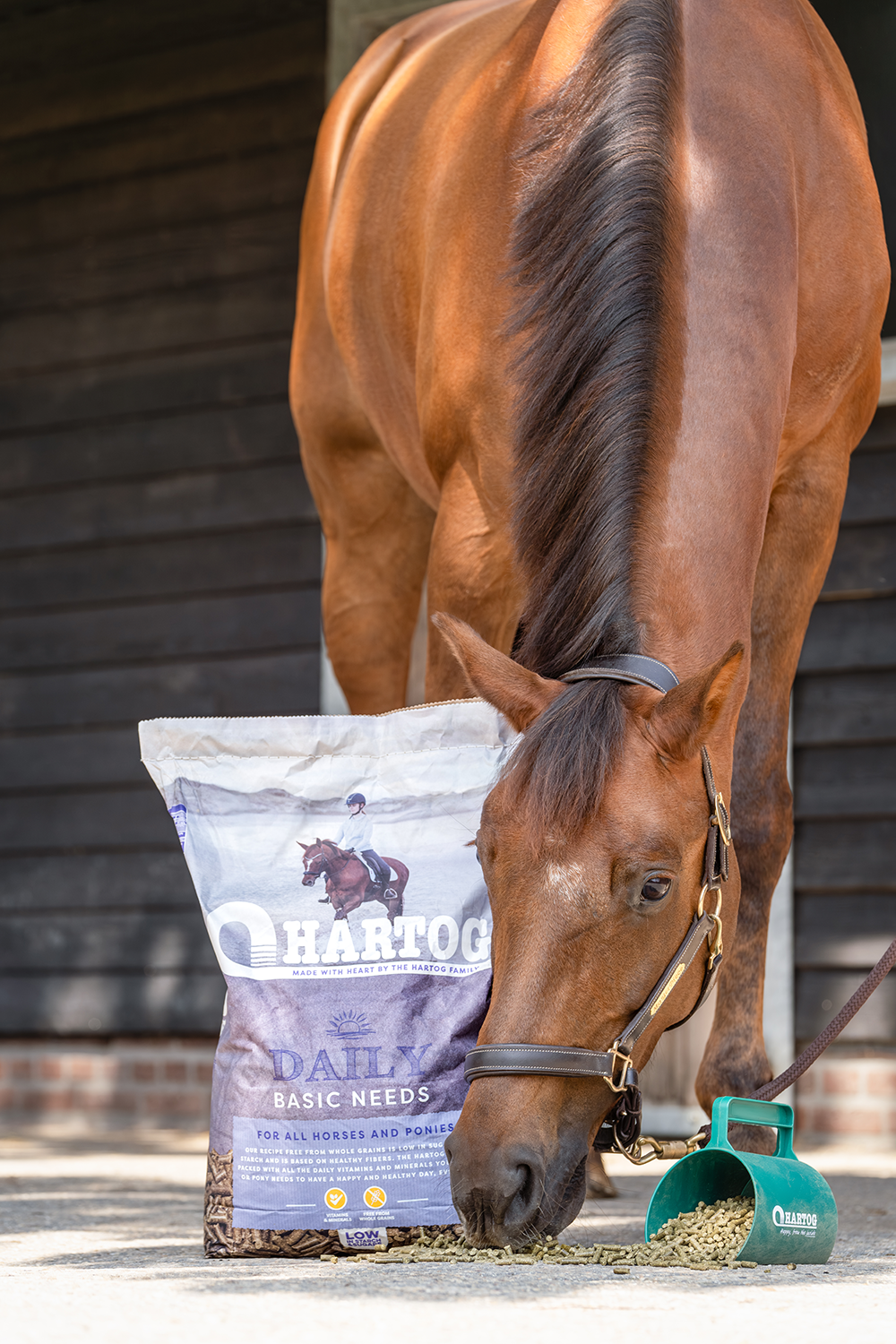 Hartog Daily 15 kg