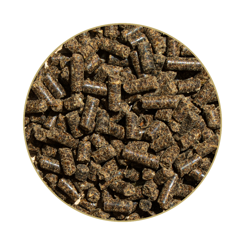 St. Hippolyt Hesta plus Eisen 1 kg