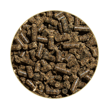 St. Hippolyt Hesta plus Eisen 1 kg
