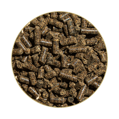 St. Hippolyt Hesta plus Eisen 1 kg