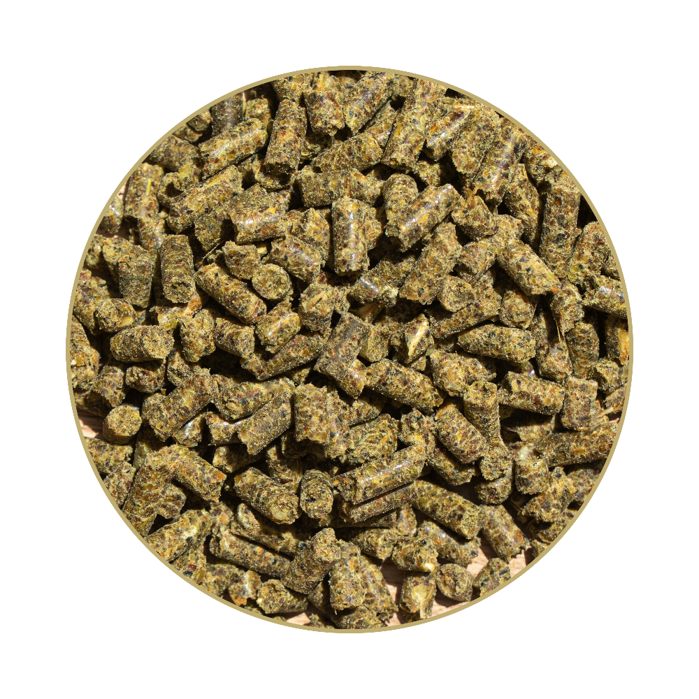 St. Hippolyt Hesta plus Kupfer 1 kg