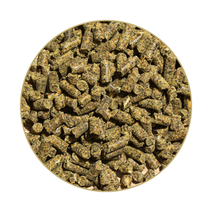 St. Hippolyt Hesta plus Kupfer 1 kg
