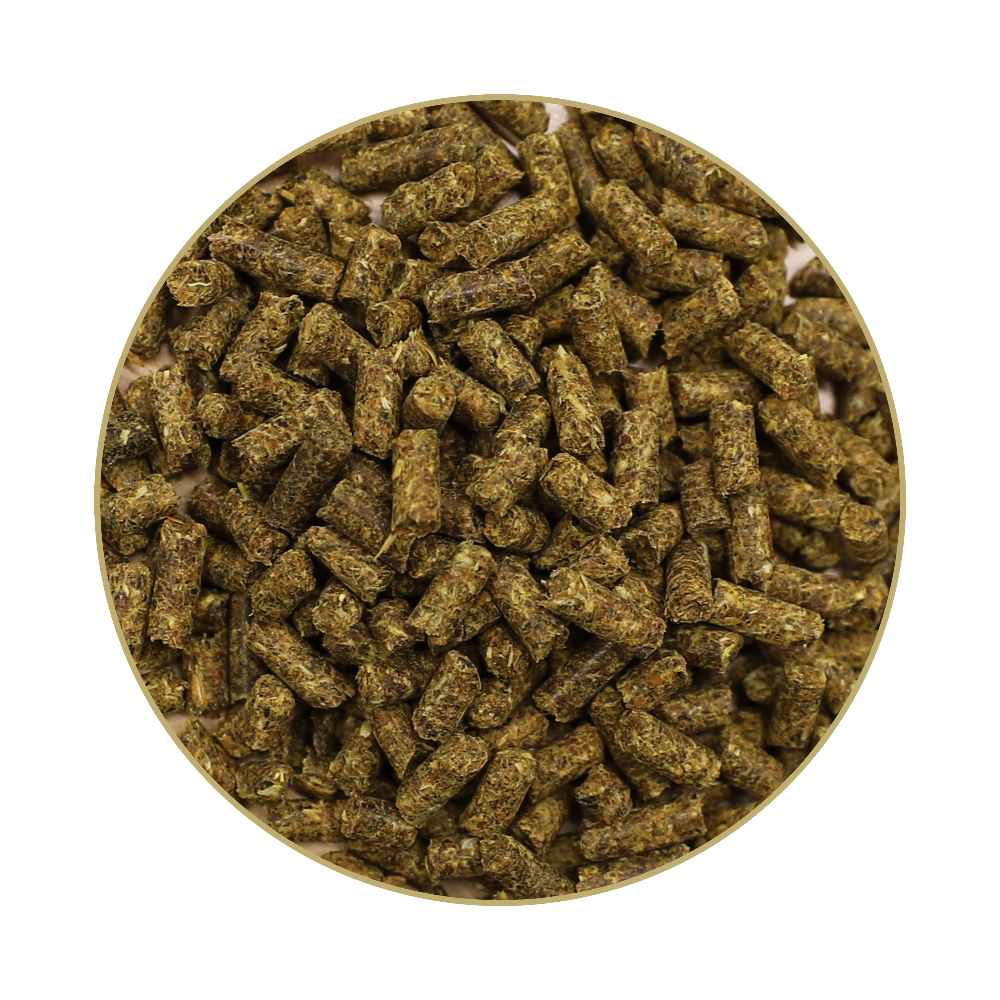 St. Hippolyt Hesta plus Mangan 1 kg