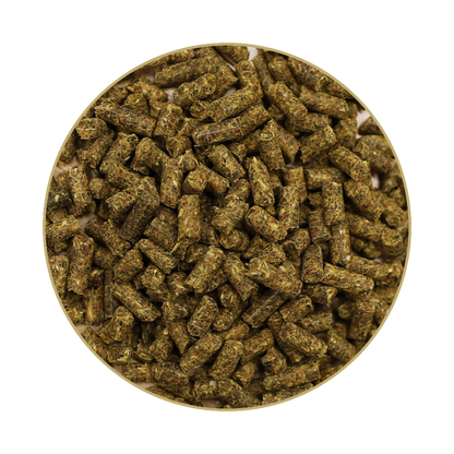 St. Hippolyt Hesta plus Mangan 1 kg