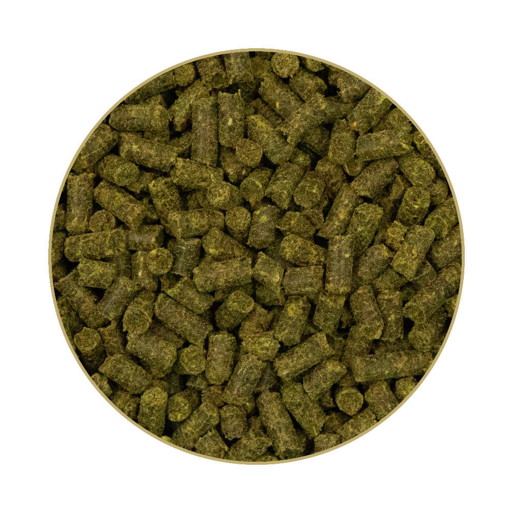 St. Hippolyt Hesta plus Zink 1 kg
